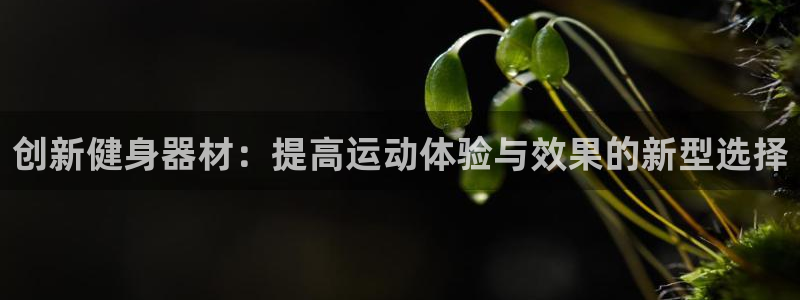 凯捷体育平台