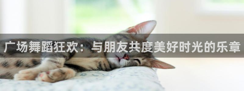 凯捷体育官网