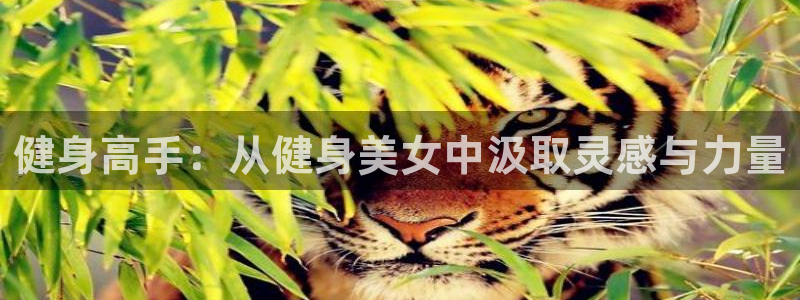 凯捷体育登录