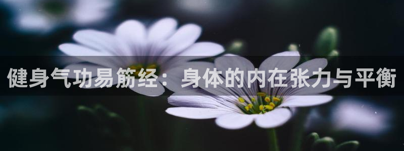 凯捷体育注册