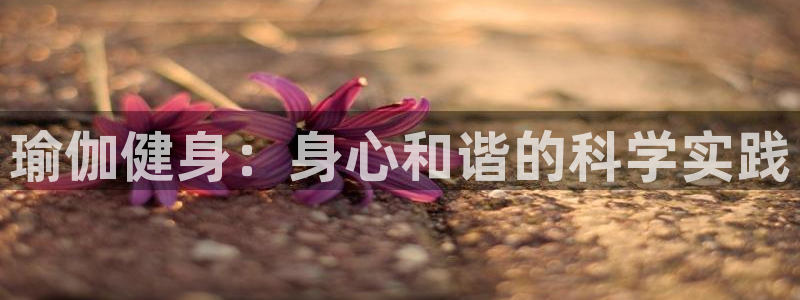 凯捷体育官方平台