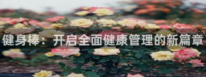 凯捷体育官方网站