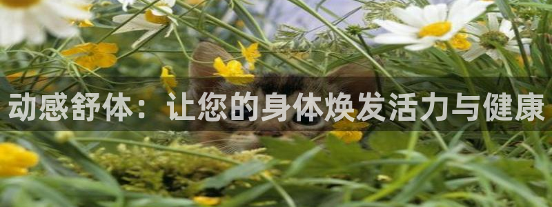 凯捷体育官方网站