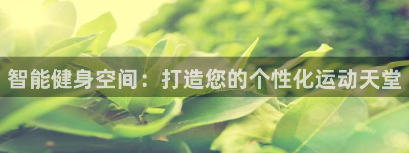 凯捷体育娱乐