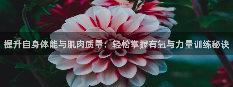 凯捷体育代理