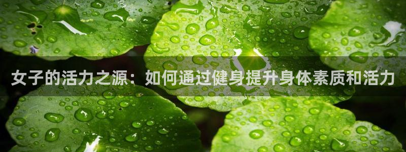 凯捷体育招商