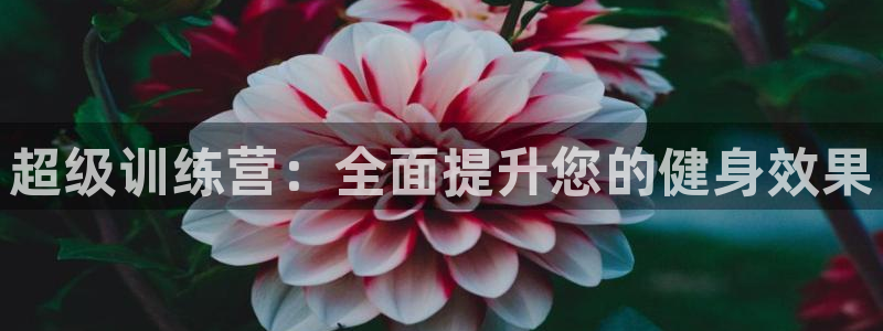 凯捷体育注册
