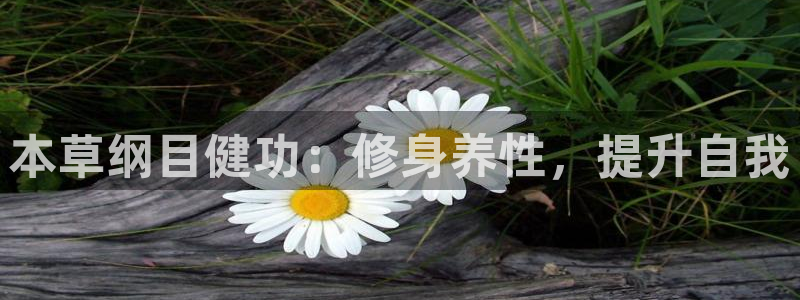 凯捷体育娱乐